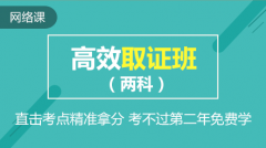 {正保会计网校2023中级审计师 两门联报-高效取证班