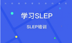 ʹʣSLEPѵ