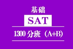 ºSAT1300ְ(A+B)