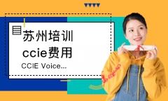 ˼CCIEVoice/VOIP֤ѵ