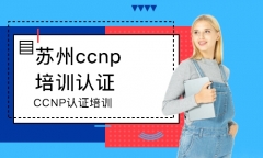 ˼CCNP֤ѵ