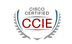 ݼѵ-˼CCIE RSѵ