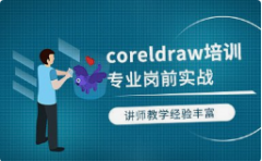 CorelDrawʸѵ