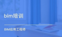 ̩ԪBIMרҵѵ