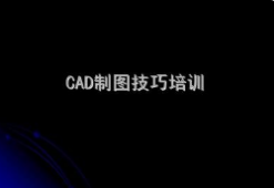 CADͼ֤