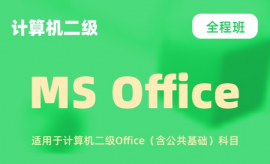 ¶MS OfficeӢ