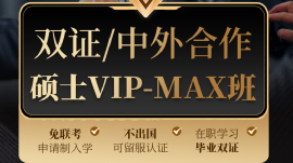MAXVIP max-2026