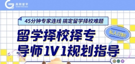 ѧУרʦ1V1滮ָ